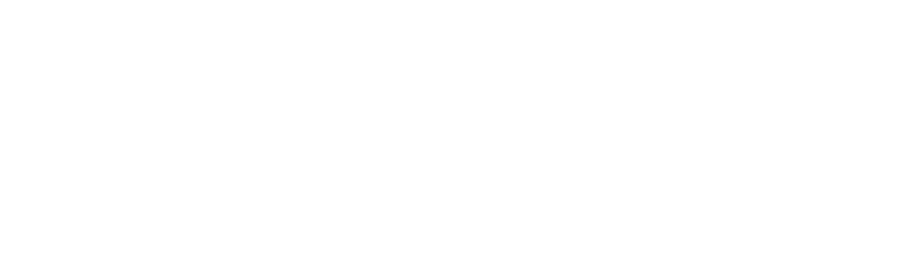 nu-trend logo
